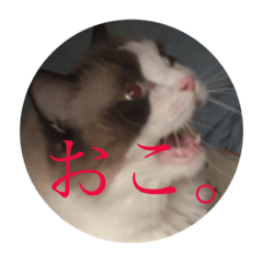 sobo