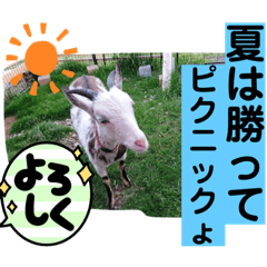 sayuri_20220505185924