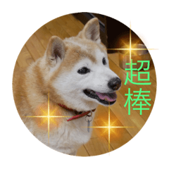 Alice_20220506221714