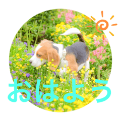 MAILE_20220507163740