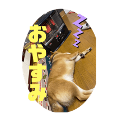 ayumi_20220507143914