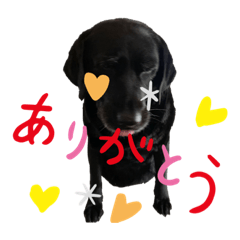 peace_20220507162022