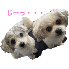 yuka_20220505181216