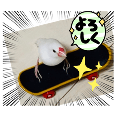 chie_20220507193918