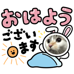 miko_20220507205027