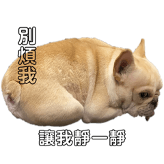 豆豆二彈 老屁孩系列