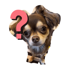 chikuwakun_20220507222411