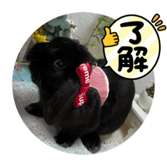 Black Rabbit stamp 1