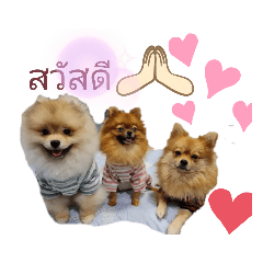 Jackie_20220507162150