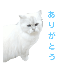 yuina_20220507164215