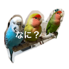 nakanu_20220507230850