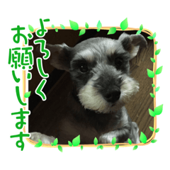 Ayumi_20220508021208