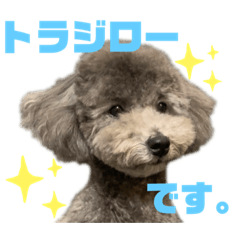 Trajiro_t