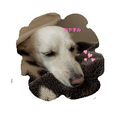 cherry_20220508101138