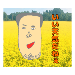 日常使いしてください