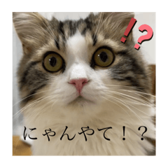 puku_20220508110406