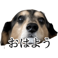za_20220508131132