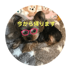 Rina_20220508130529