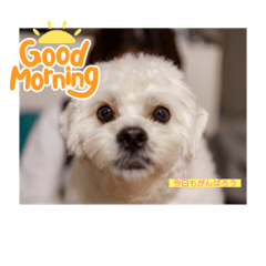 akiko_20220508134719