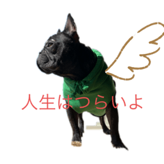 Monaka_20220508143716
