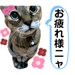 mizuki_20220507210941