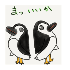 amazing penguin