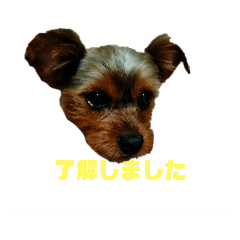 Hikari_20220508091343