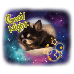 tommy_20220508150432