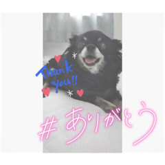 mizuki_20220508195051