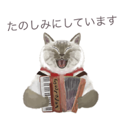 singingcatsuzy_20220506083950