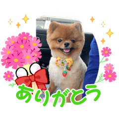 yuka_20220508210447