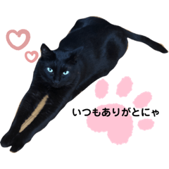 Hikari_20220508224328