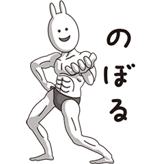 Muscle Rabbit 041