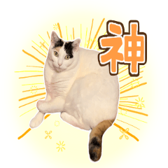 Japanese "yuruyuru" cat sticker 2