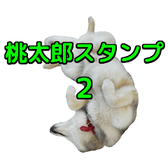ハスキー犬の桃太郎スタンプ　No.2