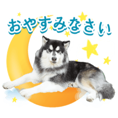 Odin Husky dog stickers