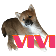 smile_20220508220522