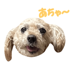 yamada_20220509001902