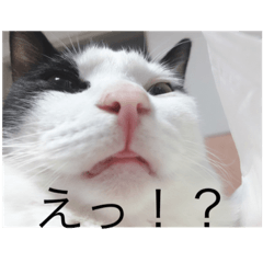 kitsui_20220508222602