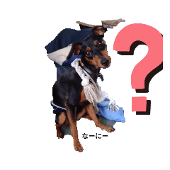 kaito_20220509111001