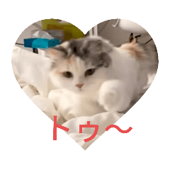 milkcream_20220509113137