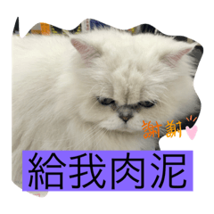 可愛lala動物貼圖