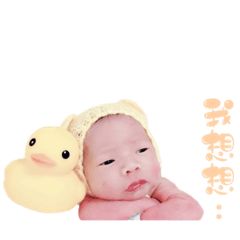 小B寶