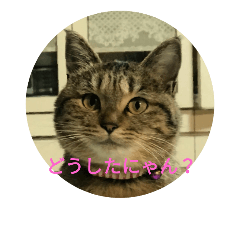mohuneko