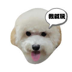 錢錢貴賓