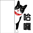 黑白賓士貓 Shubo！! 初登場