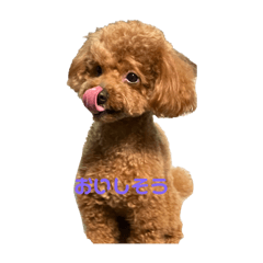 suzu_20220509205920