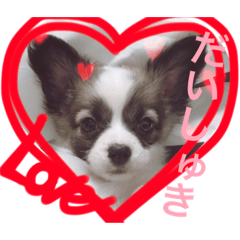 apolo stamp