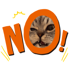maapuumaru