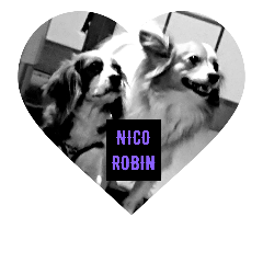 ＩLOVE NICO&ROBIN